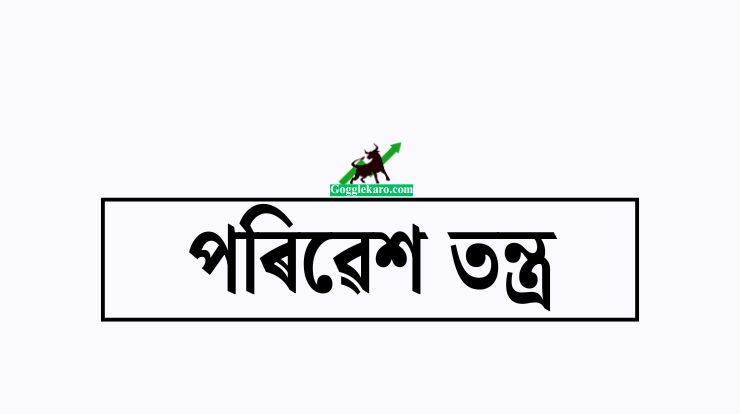 পৰিৱেশ তন্ত্ৰ বুলিলে কি বুজা